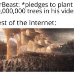 wholesome-memes cute text: MrBeast: *pledges to plant 20,000,000 trees in his video* Rest of the Internet:  cute