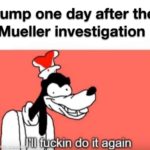 political-memes political text: Trump one day after the Mueller investigation made W 