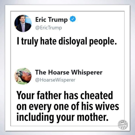 political political-memes political text: Eric Trump @EricTrump I truly hate disloyal people. The Hoarse Whisperer @HoarseWisperer Your father has cheated on every one of his wives including your mother. 