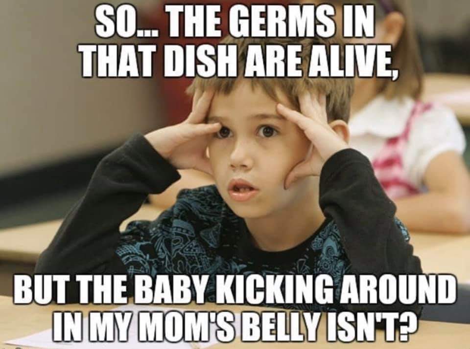 political boomer-memes political text: SO... THE GERMS THAT ARE ALIVE, THE BABY KICKING AROUND 