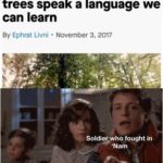 other-memes dank text: A biologist believes that trees speak a language we can learn By Ephrat Livni • November 3, 2017 Soldier who fought in 