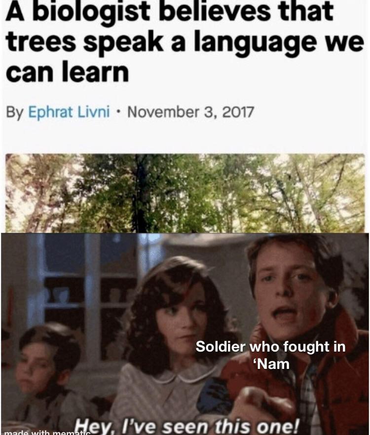 dank other-memes dank text: A biologist believes that trees speak a language we can learn By Ephrat Livni • November 3, 2017 Soldier who fought in 'Nam I've seen this one! 