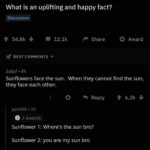 wholesome-memes cute text: magyaroxcy What is an uplifting and happy fact? Discussion 54,8k+ 12,1k BEST COMMENTS Zafjaf • 8h O Award Sunflowers face the sun. When they cannot find the sun, they face each other. 0 9 Reply 6,2k + juju005 • 2h 2 Awards Sunflower 1: Where