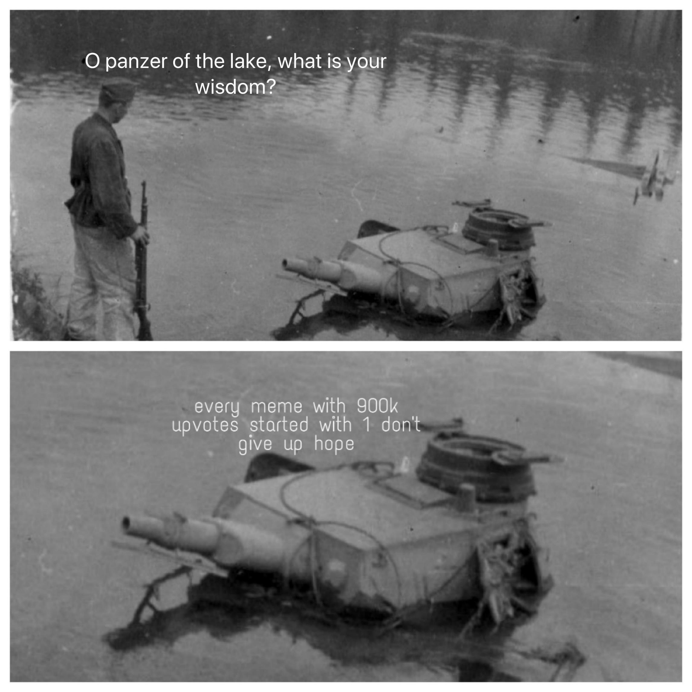 cute wholesome-memes cute text: O panzer of the lake, what is your wisdom?- everg meme with 900k upvotes started with 1 don't give up hope 