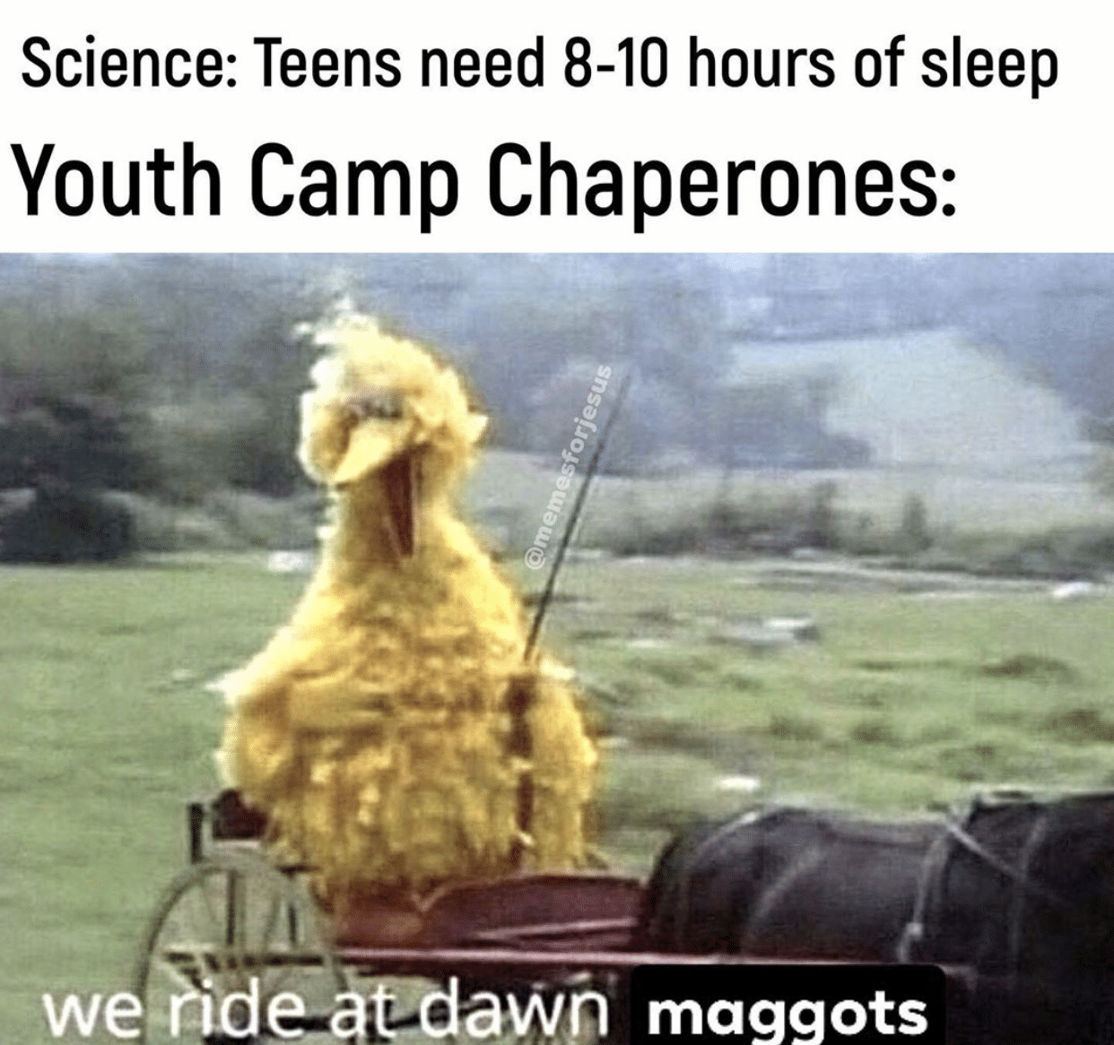 christian christian-memes christian text: Science: Teens need 8-10 hours of sleep Youth Camp Chaperones: awn maggots 