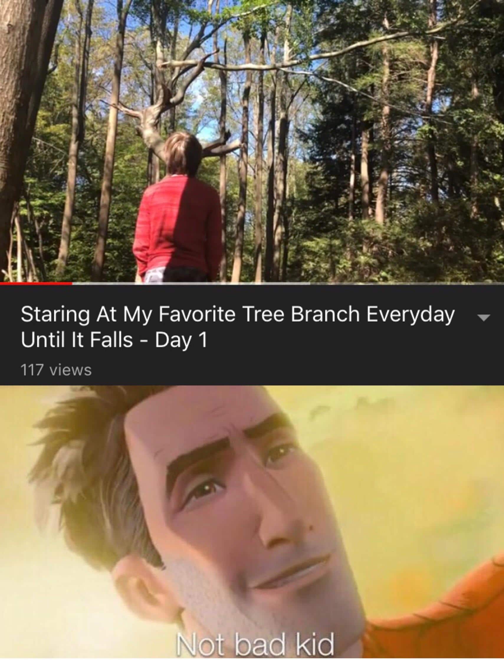 cute wholesome-memes cute text: Staring At My Favorite Tree Branch Everyday Until It Falls - Day 1 117 views ÄNot• bad kid 