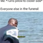 dank-memes cute text: Me: *Turns pillow to cooler side* Everyone else in the funeral:  Dank Meme