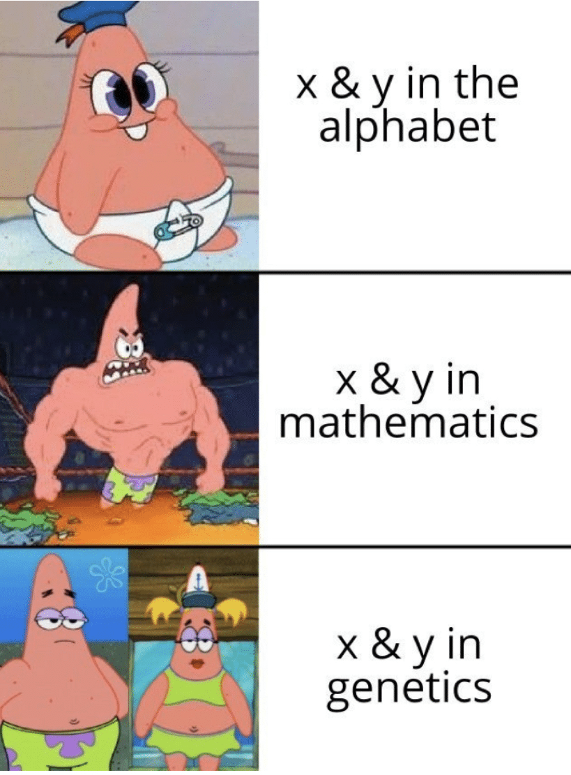 spongebob spongebob-memes spongebob text: x & yin the alphabet x & yin mathematics x & yin genetics 