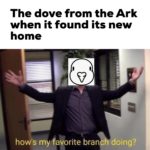 christian-memes christian text: The dove from the Ark when it found its new home howls my favorite branch doing?  christian