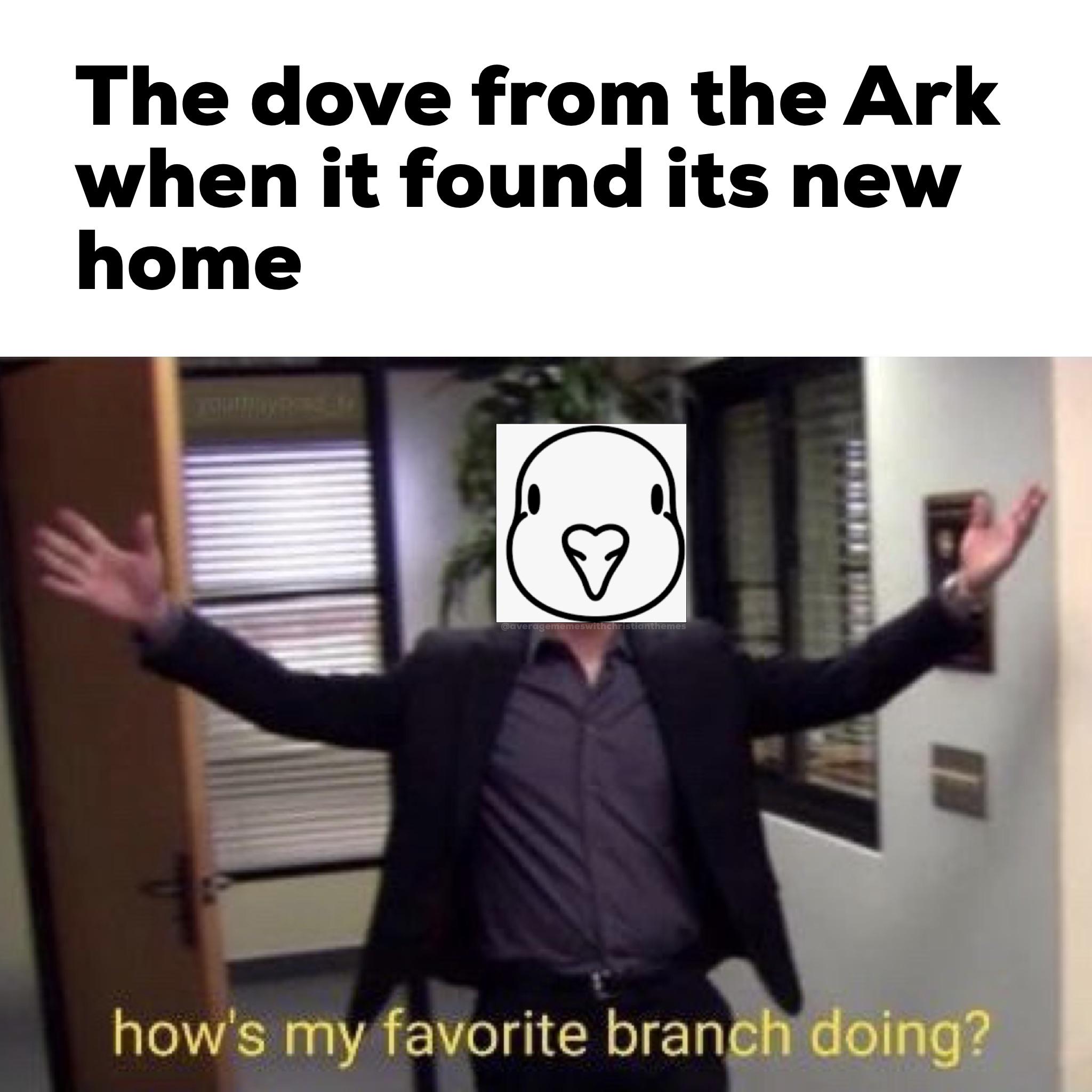 christian christian-memes christian text: The dove from the Ark when it found its new home howls my favorite branch doing? 