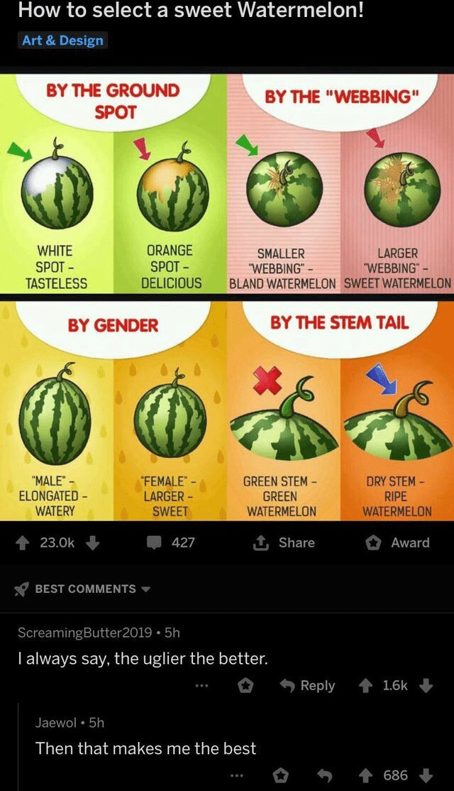 cute wholesome-memes cute text: How to select a sweet Watermelon! Art & Design BY THE GROUND BY THE 