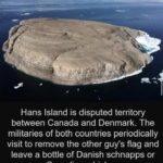wholesome-memes cute text: Hans Island is disputed territory between Canada and Denmark. The militaries of both countries periodically visit to remove the other guy