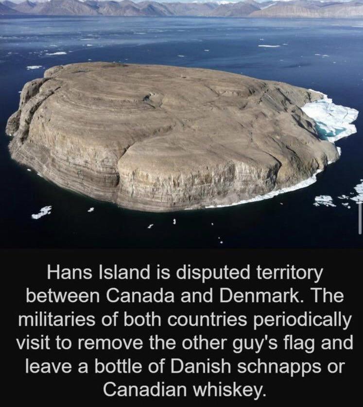 cute wholesome-memes cute text: Hans Island is disputed territory between Canada and Denmark. The militaries of both countries periodically visit to remove the other guy's flag and leave a bottle of Danish schnapps or Canadian whiskey. 