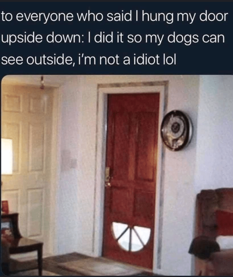 cute wholesome-memes cute text: to everyone who said I hung my door upside down: I did it so my dogs can see outside, i'm not a idiot lol 
