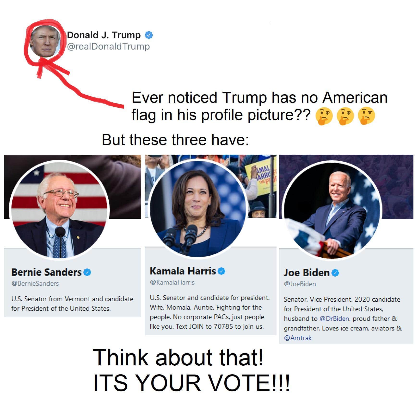 political political-memes political text: Donald J. Trump @realDonaldTrump Ever noticed Trump has no American flag in his profile picture?? But these three have: Bernie Sanders @8ernieSanders LIS. Senator from Vermont and candidate for President of the United States. Kamala Harris O @KamalaHarris LIS Senator and candidate for president, Wife, Momala, Auntie, Fighting for the people. No corporate PACs, just people like you, Text JOIN to 70785 to join us, Joe Biden O @Joe8iden Senator, Vice President, 2020 candidate for President of the United States, husband to @Dr8iden, proud father & grandfather. Loves ice cream, aviators & @Amtrak Think about that! ITS YOUR VOTE!!! 