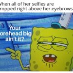 spongebob-memes spongebob text: When all of her selfies are cropped right above her eyebrows forehead big — ah