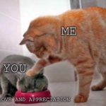 wholesome-memes cute text: ME you *LOVE. AND APPRECIATION*  cute