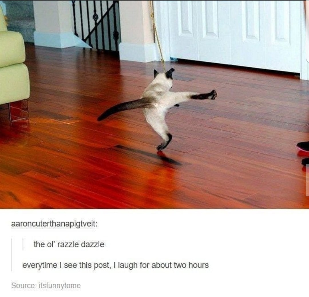 cute wholesome-memes cute text: aaroncuterthanapigtveit: the ol' razzle dazzle everytime I see this post, I laugh for about two hours Source: itsfunnytome 