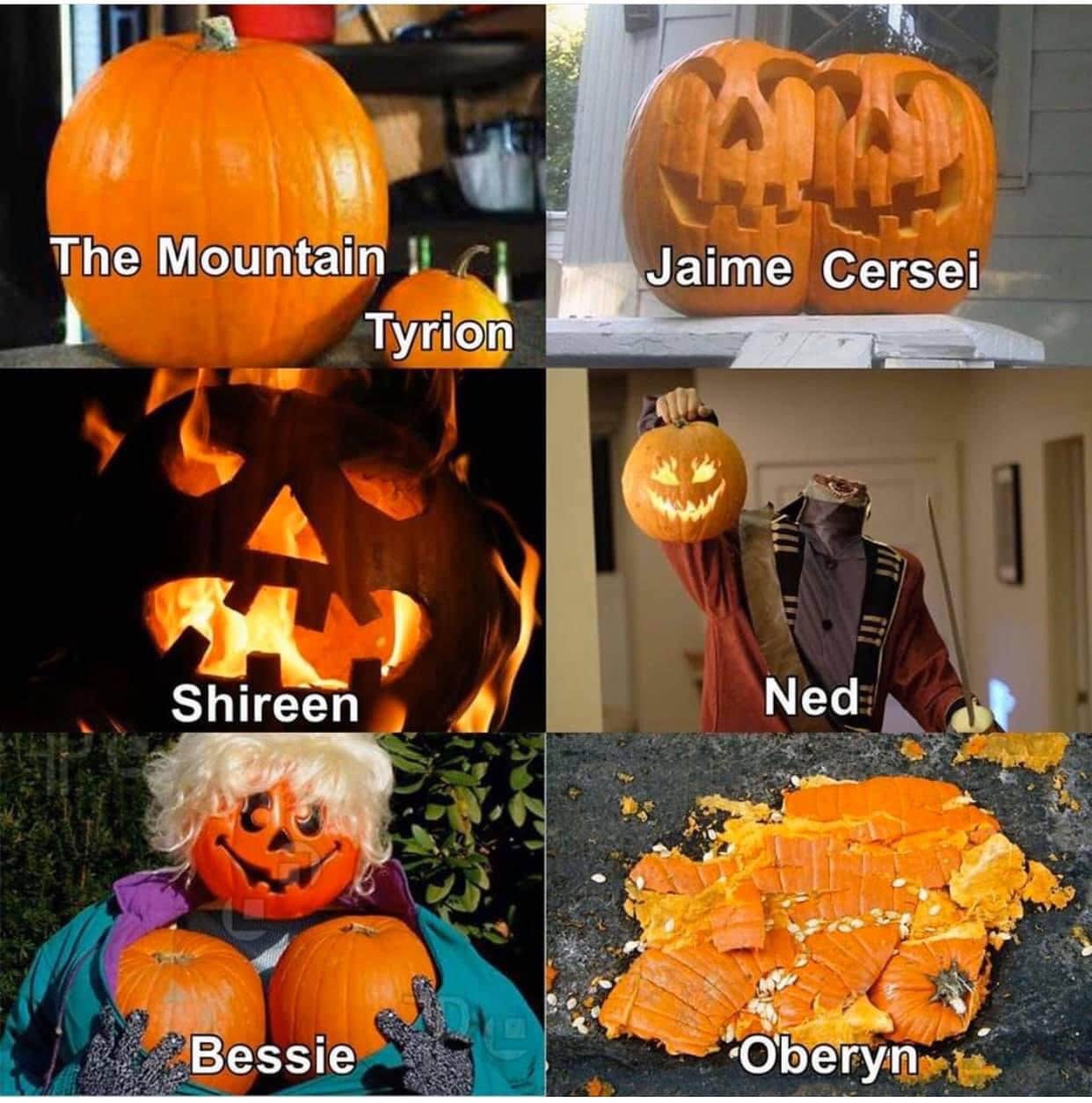 game-of-thrones game-of-thrones-memes game-of-thrones text: The Mountain Tyrion Shireen Bessie Jaime Cerseie Ned 'Obeiyn 
