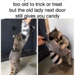 wholesome-memes cute text: When you are considered too old to trick or treat but the old lady next door still ives you candy  cute