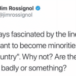political-memes political text: Jim Rossignol e @jimrossignol 11m always fascinated by the line "we donlt want to become minorities in our own country". Why not? Are they treated badly or something?  political
