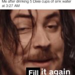 dank-memes cute text: Me after drinking 5 Dixie cups of sink water at 3:27 AM Fill it again  Dank Meme