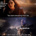avengers-memes thanos text: Me, after spending all my money on my goldfish for years You took everything from me My goldfish • •F I dont even kooywho you are.  thanos