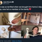 wholesome-memes cute text: Jesse McLaren @McJesse He was so terrified when we brought him home 2 days 6:34 PM • Oct 6, 2019 • Twitter for iPhone  cute