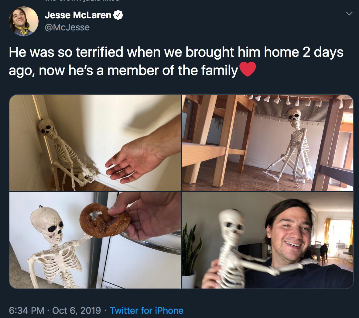 cute wholesome-memes cute text: Jesse McLaren @McJesse He was so terrified when we brought him home 2 days 6:34 PM • Oct 6, 2019 • Twitter for iPhone 
