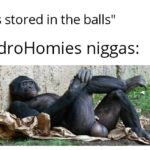 water-memes thanos text: "pee is stored in the balls" r/HydroHomies niggas:  thanos