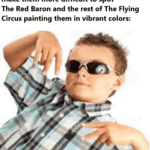 history-memes history text: "We should paint our planes in colors that make them more difficult to spot" The Red Baron and the rest of The Flying Circus painting them in vibrant colors:  history