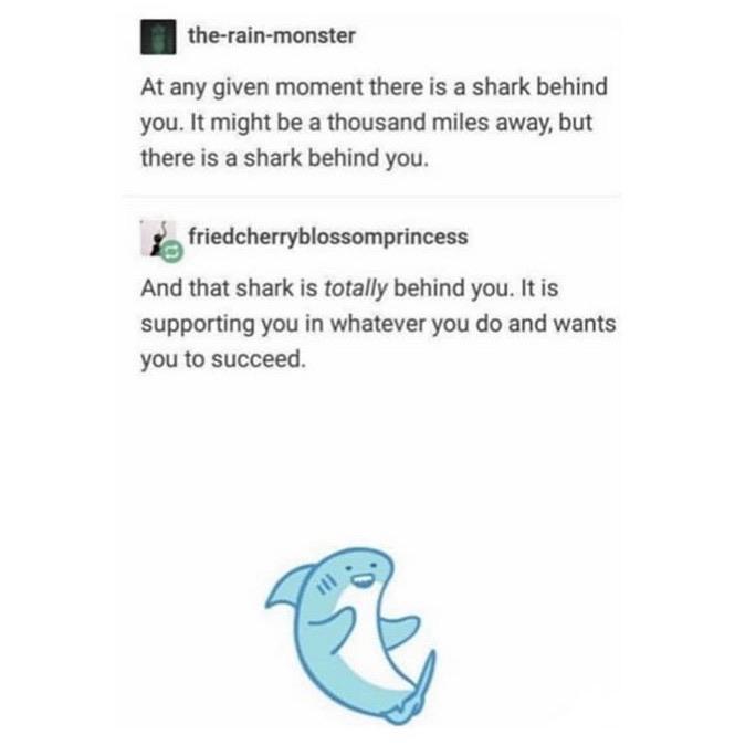 cute wholesome-memes cute text: n the-rain-monster At any given moment there is a shark behind you. It might be a thousand miles away, but there is a shark behind you. friedcherryblossomprincess And that shark is totally behind you. It is supporting you in whatever you do and wants you to succeed. 
