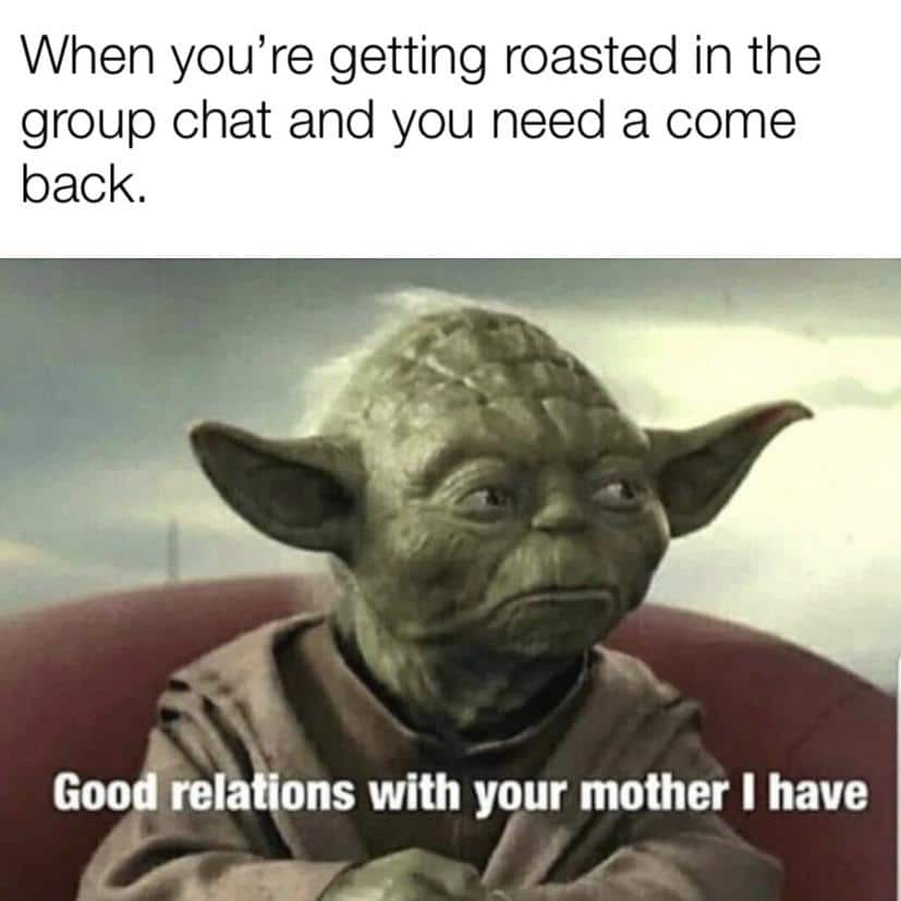 Dank Meme dank-memes cute text: When you're getting roasted in the group chat and you need a come back. Good rela ions with your mother I have 