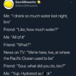 water-memes water text: SourSilhouette @SourSilhouette Me: Ill drank so much water last night, bro" Friend: "Like, how much water?" Me: "All of it" Friend: "What?" News on TV: "We