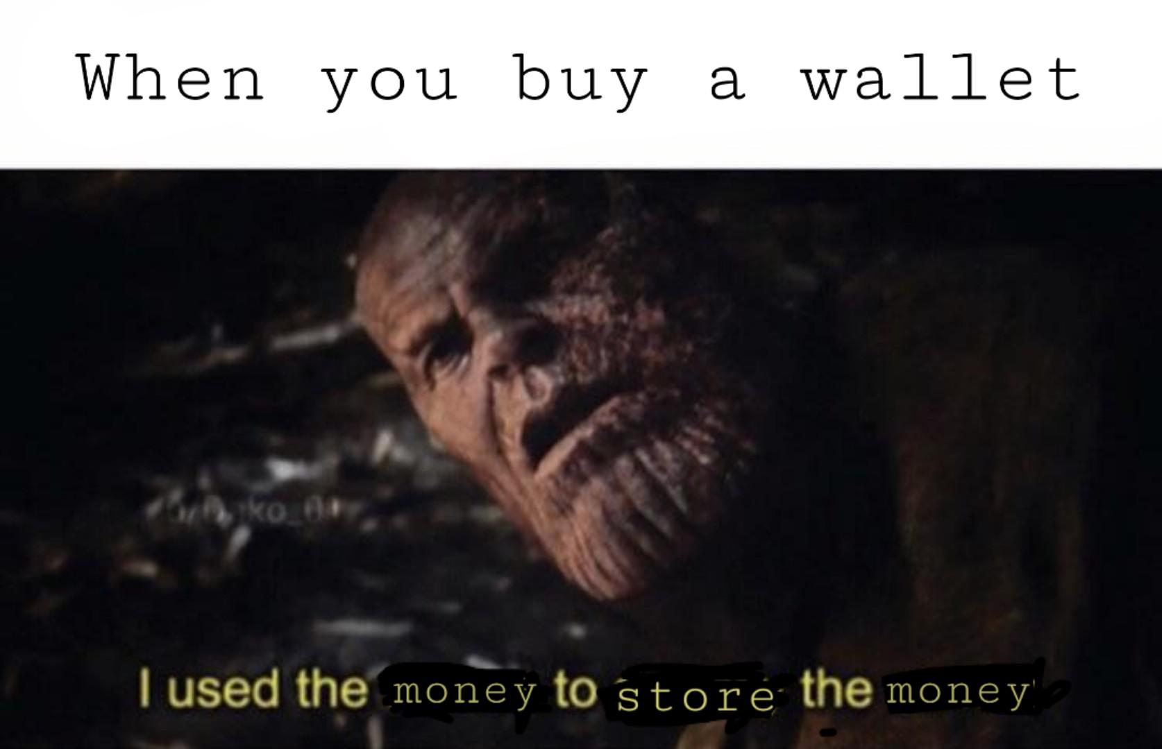 thanos avengers-memes thanos text: When you buy a wallet I used the money to Store the money 