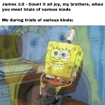 christian-memes christian text: James 1:2 - Count it all joy, my brothers, when you meet trials of various kinds Me during trials of various kinds:  christian