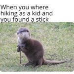 other-memes dank text: When you where hiking as a kid and ou found a stig\s  dank