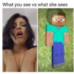 minecraft-memes minecraft text: What you see vs what she sees  minecraft