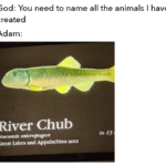 christian-memes christian text: God: You need to name all the animals I have created Adam. River Chub Nocomis micmpogon Great Lakes and Appalachian arca to 13  christian