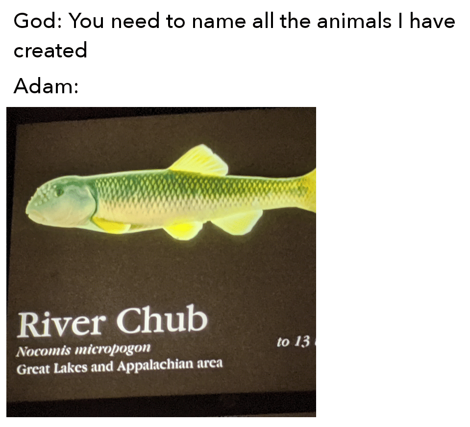christian christian-memes christian text: God: You need to name all the animals I have created Adam. River Chub Nocomis micmpogon Great Lakes and Appalachian arca to 13 