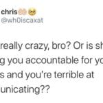 feminine-memes women text: chris @wh0iscaxat Is she really crazy, bro? Or is she holding you accountable for your actions and you