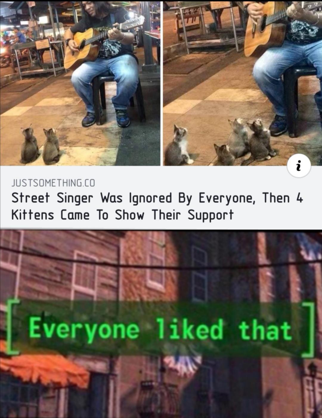 cute wholesome-memes cute text: JUSTSOMETHlNGfO Street Singer Was Ignored By Everyone, Then Kittens Came To Show Their Support Everyone 'liked that 