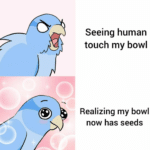 wholesome-memes cute text: Seeing human touch my bowl Realizing my bowl now has seeds 