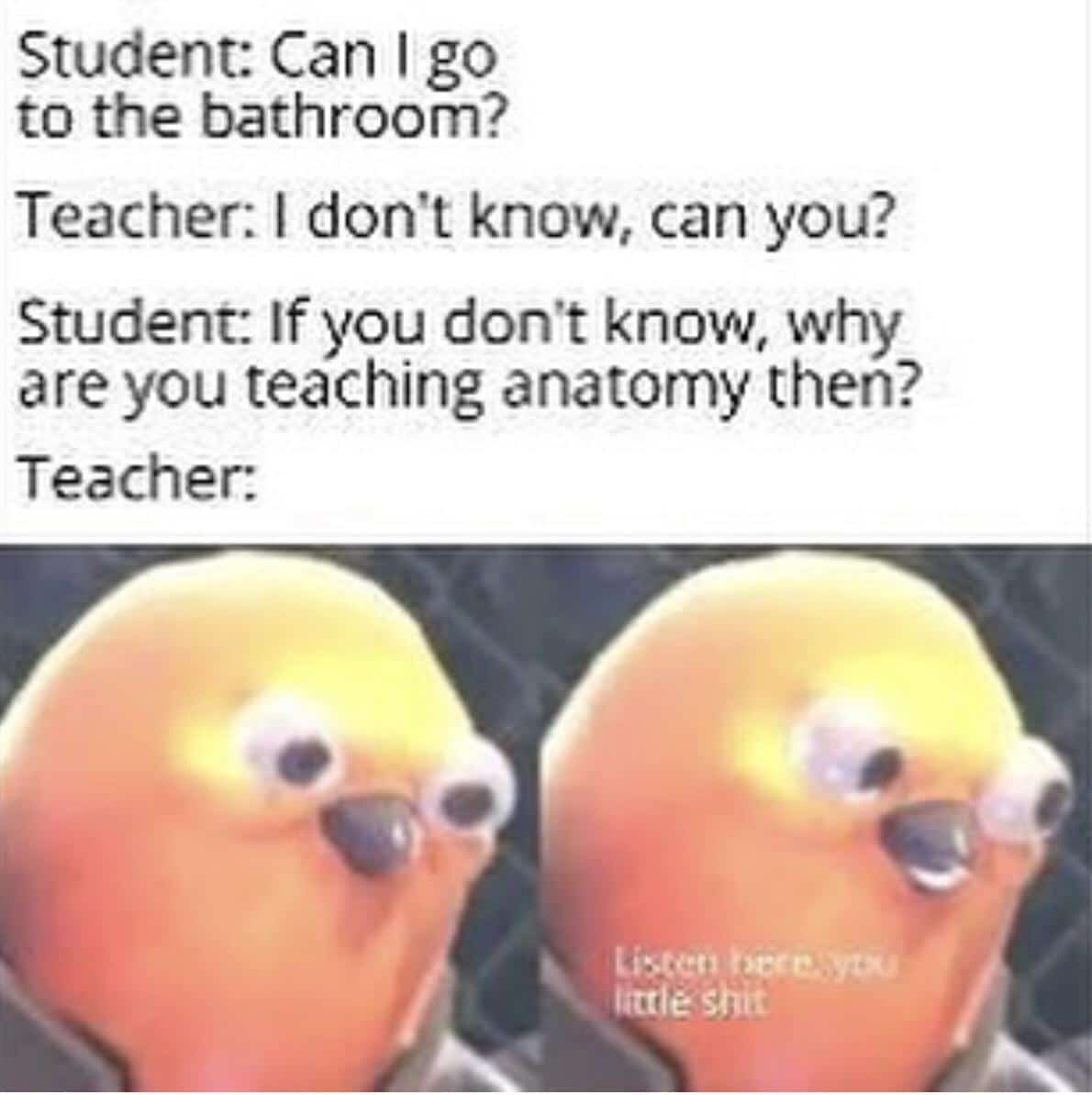 Dank Meme dank-memes cute text: Student: Can I go to the bathroom? Teacher: I don't know, can you? Student: If you don't know, why are you teaching anatomy then? Tea cher: shit 