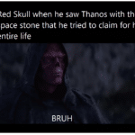 avengers-memes thanos text: Red Skull when he saw Thanos with the space stone that he tried to claim for his entire life BRUH  thanos