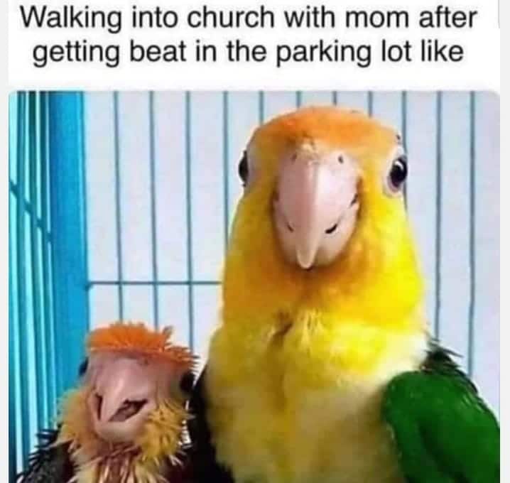 christian christian-memes christian text: Walking into church with mom after getting beat in the parking lot like 