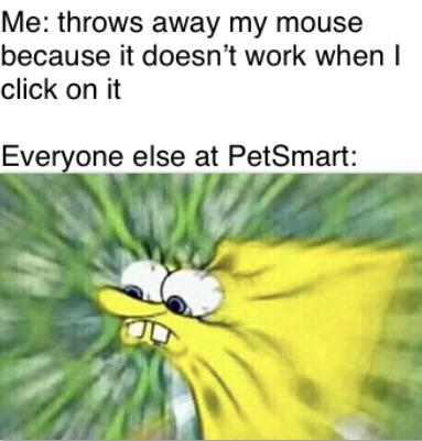 Dank Meme dank-memes cute text: Me: throws away my mouse because it doesn't work when I click on it Everyone else at PetSmart: 