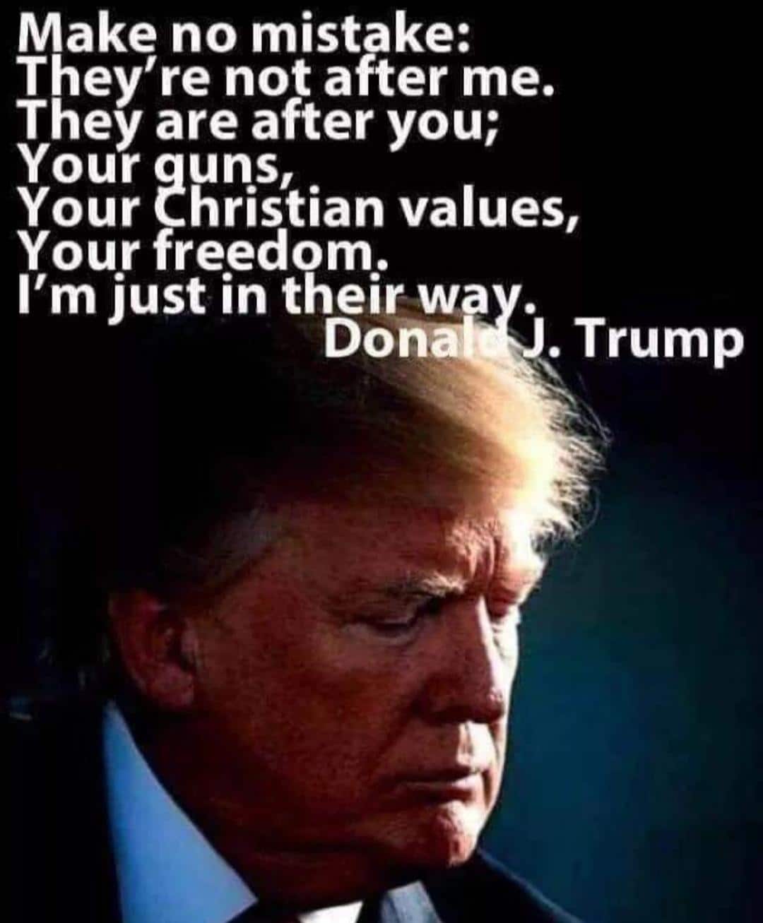 political political-memes political text: Make no mistake: They're not after me. They are after you; Your uns, Your 2hristian values, Your freedom. I'm just in their wa . . Trump Don 