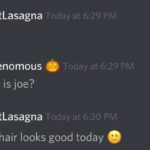 wholesome-memes cute text: Today at 6:29 PM BuiltLasagna Joe Today at 6:29 PM Djvenomous who is joe? Today at 6:30 PM BuiltLasagna Joe hair looks good today  cute