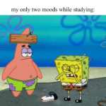 spongebob-memes spongebob text: my only two moods while studying:  spongebob